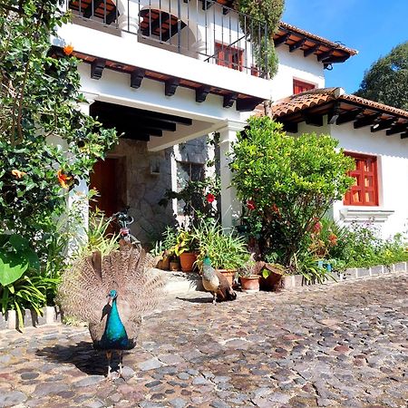 Hotel Y Jardines Casa Buho アンティグア・グアテマラ エクステリア 写真