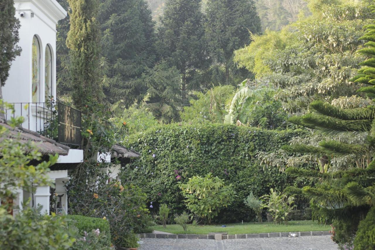 Hotel Y Jardines Casa Buho アンティグア・グアテマラ エクステリア 写真