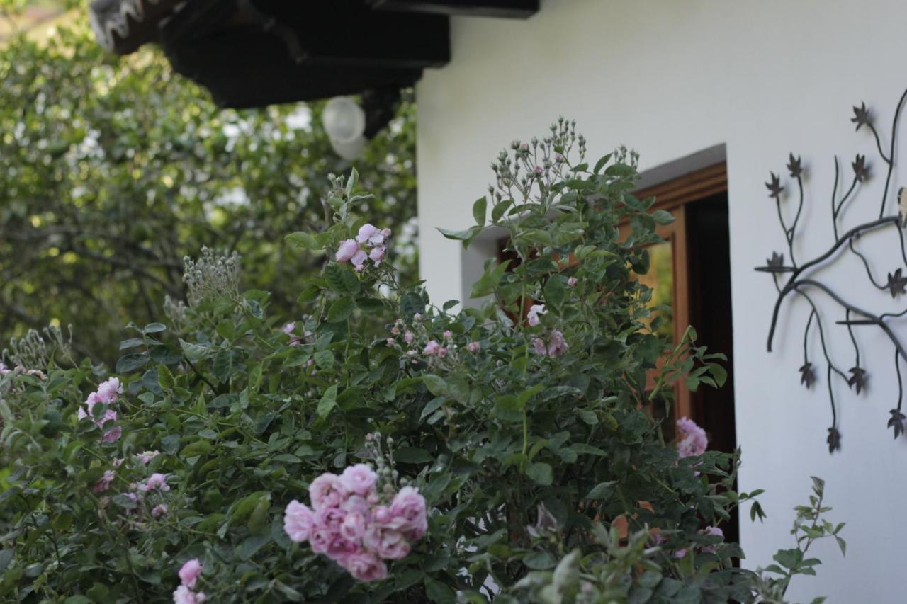 Hotel Y Jardines Casa Buho アンティグア・グアテマラ エクステリア 写真