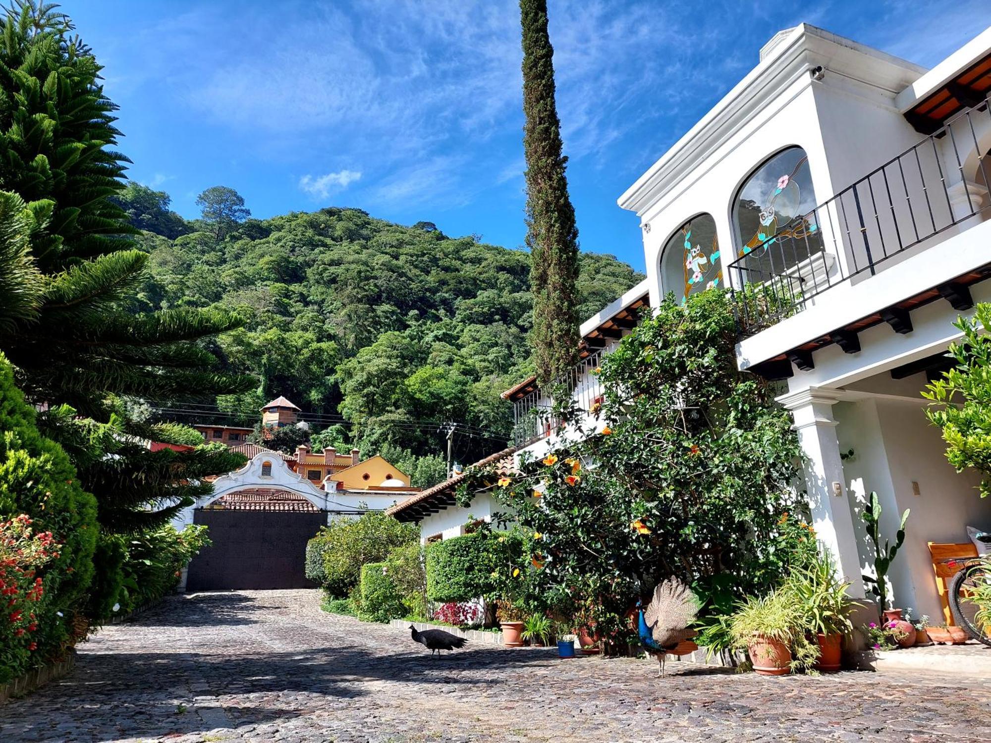Hotel Y Jardines Casa Buho アンティグア・グアテマラ エクステリア 写真